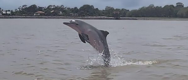 IMG-20260323-WA0144