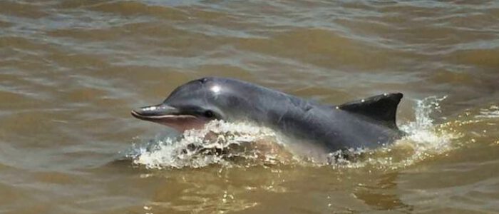 Untitled design (15)